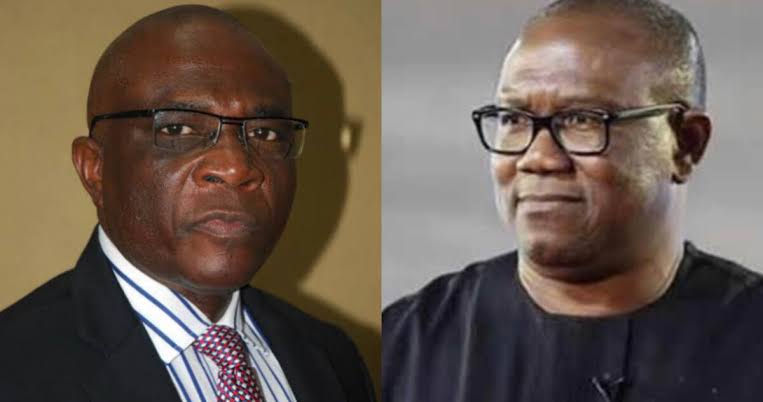 Presidency Exposes Peter Obi’s Supporters As Masterminds Of Planned Protests | MarvelTvUpdates