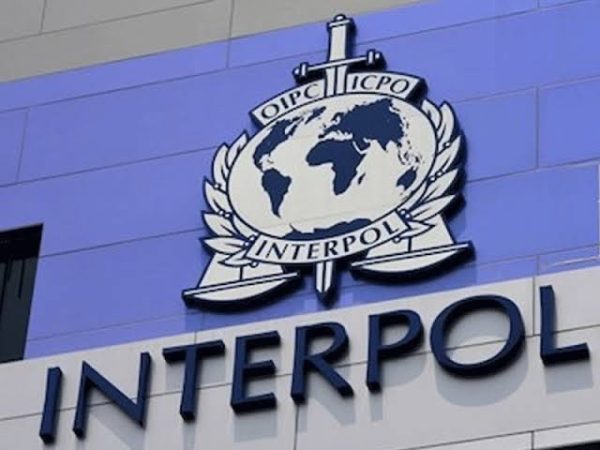 ‘Thousands Of Dollars Of Government Money Is Been Flown Out Of Nigeria Every Hour’ — INTERPOL Revealed | MarvelTvUpdates