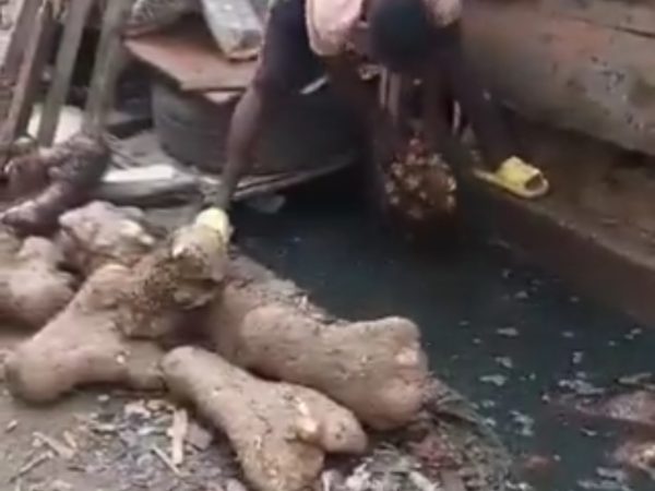 Seller Caught Preserving Yam Tubers inside Gutter In Lagos (VIDEO) | MarvelTvUpdates