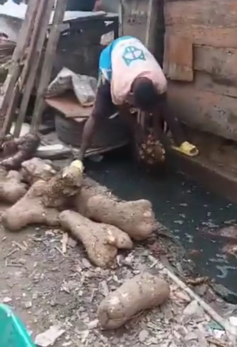 Seller Caught Preserving Yam Tubers inside Gutter In Lagos (VIDEO) | MarvelTvUpdates