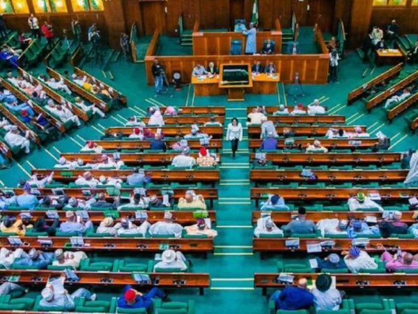 House Of Reps Seek 10-Year Jail Term, N5m Fine For Any Nigerian Who Refuse To Recite National Anthem | MarvelTvUpdates