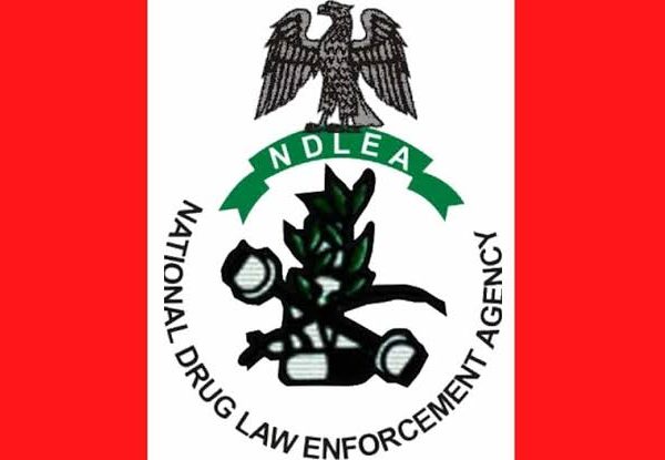 NDLEA Seeks Mandatory Drug Tests For University Admission Seekers | MarvelTvUpdates