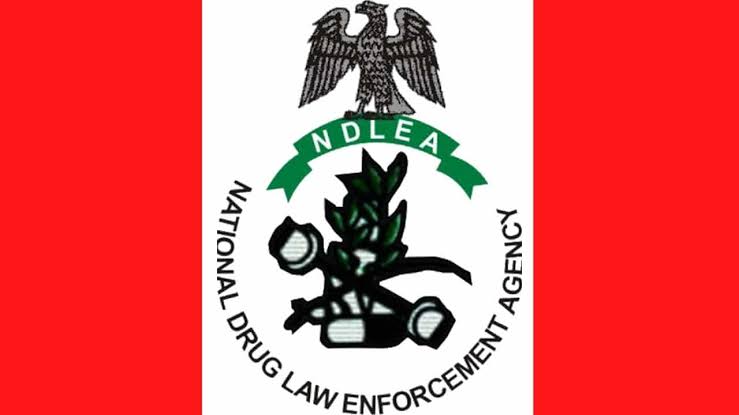 NDLEA Seeks Mandatory Drug Tests For University Admission Seekers | MarvelTvUpdates