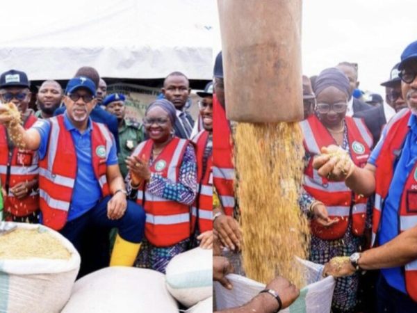 Ogun Farmer Exposes Gov. Dapo Abiodun’s Alleged Deception: ‘My Rice Farm Falsely Presented As World Bank-Assisted Project’ | MarvelTvUpdates