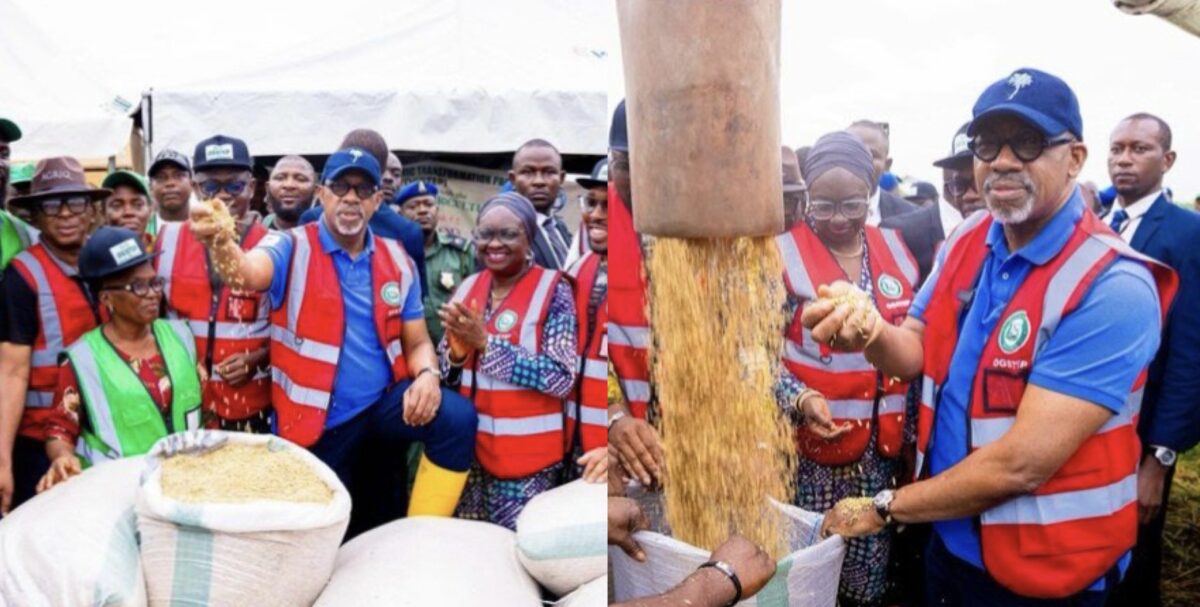 Ogun Farmer Exposes Gov. Dapo Abiodun’s Alleged Deception: ‘My Rice Farm Falsely Presented As World Bank-Assisted Project’ | MarvelTvUpdates