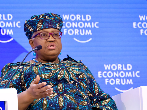 Ngozi Okonjo-Iweala Announces Bid For Second Term As World Trade Organization DG | MarvelTvUpdates