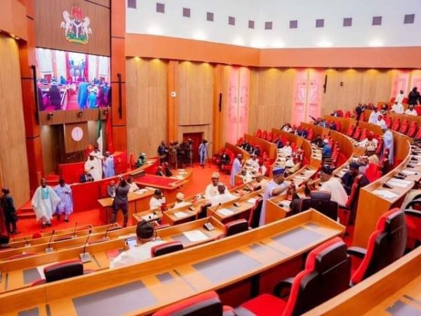 Senate Approves Establishment Of South West Development Commission | MarvelTvUpdates