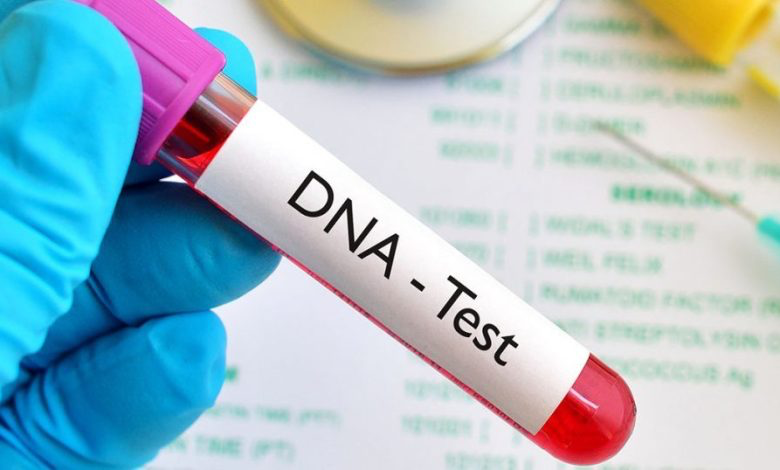 DNA Testing On The Rise: Yoruba People Show Highest Increase | MarvelTvUpdates