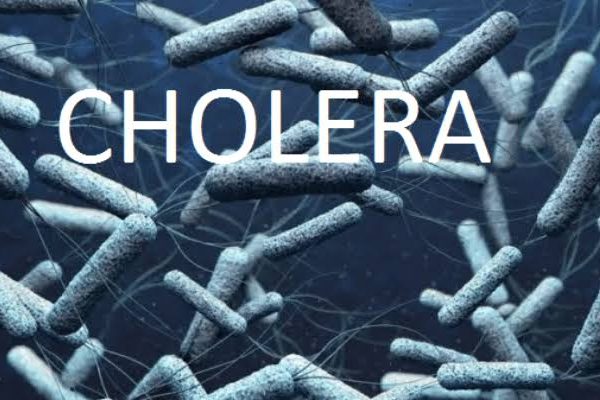 7 People Reportedly Killed In Fresh Cholera Outbreak | MarvelTvUpdates