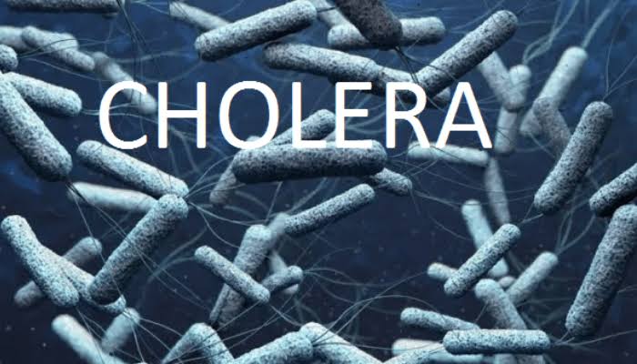 7 People Reportedly Killed In Fresh Cholera Outbreak | MarvelTvUpdates