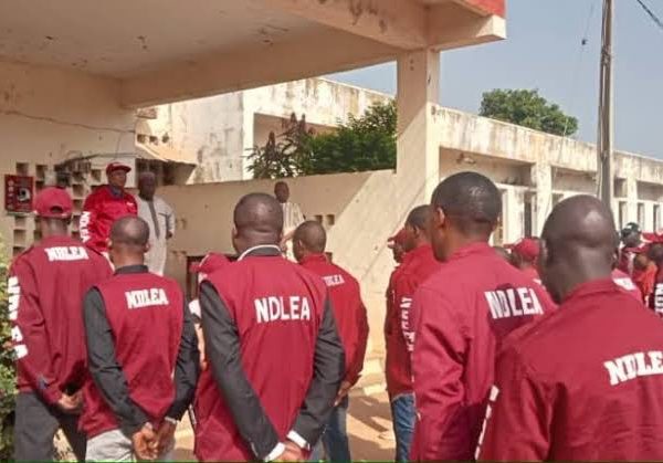 Twenty Chairmanship Aspirants Test Positive For Drugs In Kano, Says NDLEA | MarvelTvUpdates