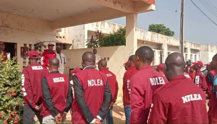 Twenty Chairmanship Aspirants Test Positive For Drugs In Kano, Says NDLEA | MarvelTvUpdates