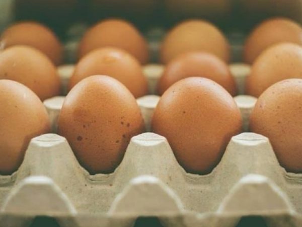 ‘Price Of Eggs May Hit N10,000 Per Crate’ – Poultry Farmers Raise Fresh Alarm | MarvelTvUpdates