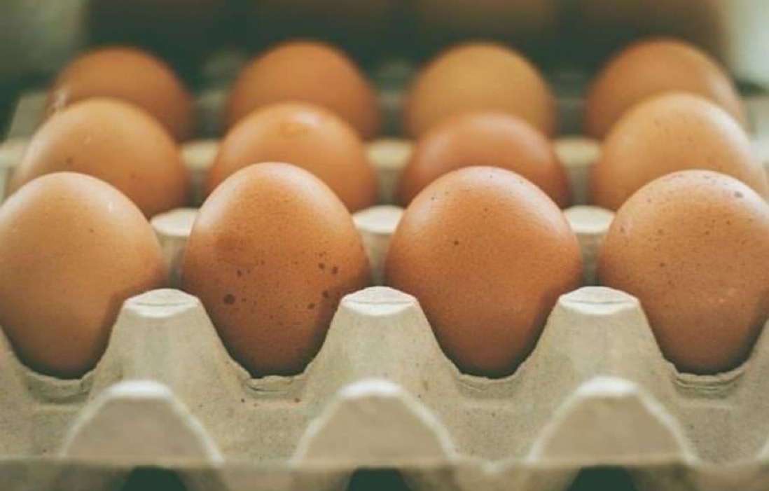 ‘Price Of Eggs May Hit N10,000 Per Crate’ – Poultry Farmers Raise Fresh Alarm | MarvelTvUpdates