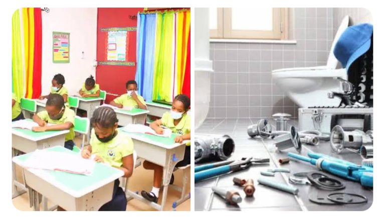 Primary Schools To Offer Plumbing, Hairstyling, And Other Vocational Skills From 2025 | MarvelTvUpdates