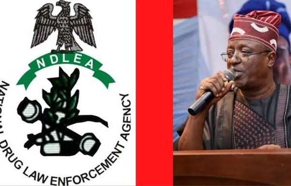 NDLEA Boss Summoned To Senate Over Drug Discovery At APC Senator’s House | MarvelTvUpdates