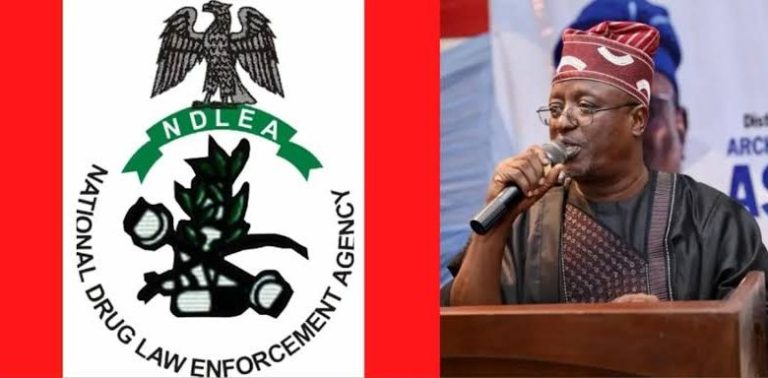 NDLEA Boss Summoned To Senate Over Drug Discovery At APC Senator’s House | MarvelTvUpdates