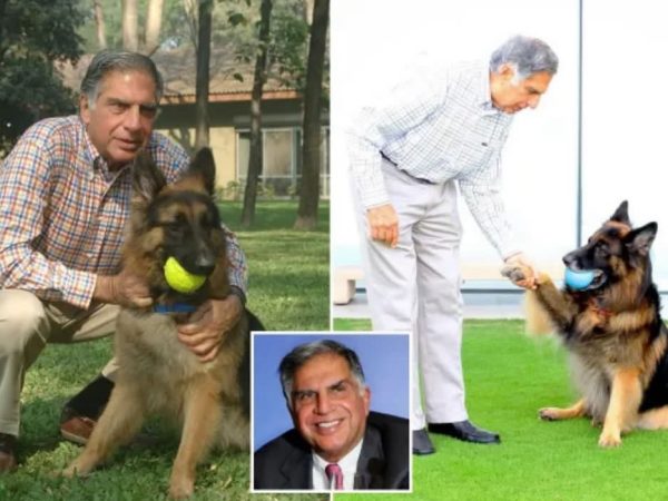 Indian Billionaire Wills £91m Fortune To His Dog | MarvelTvUpdates