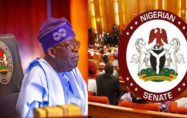 Tinubu Govt Secures Senate Approval for N1.77 Trillion External Loan | MarvelTvUpdates