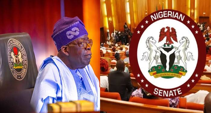 Tinubu Govt Secures Senate Approval for N1.77 Trillion External Loan | MarvelTvUpdates