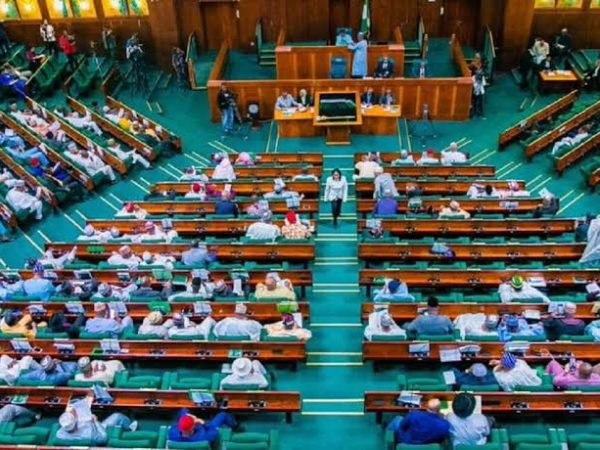 House Of Rep Reject Bill Seeking Six-Year Single Term For President, Governors | MarvelTvUpdates