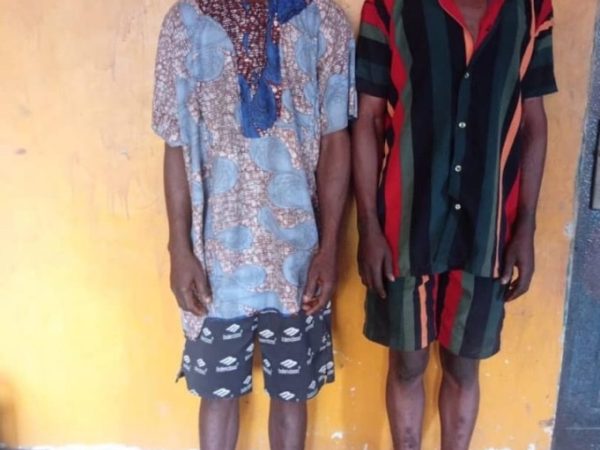 Man Arrested In Ogun For Allegedly Stealing Goat To Celebrate Child’s Naming | MarvelTvUpdates