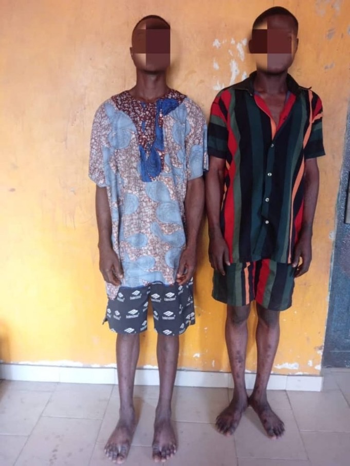 Man Arrested In Ogun For Allegedly Stealing Goat To Celebrate Child’s Naming | MarvelTvUpdates