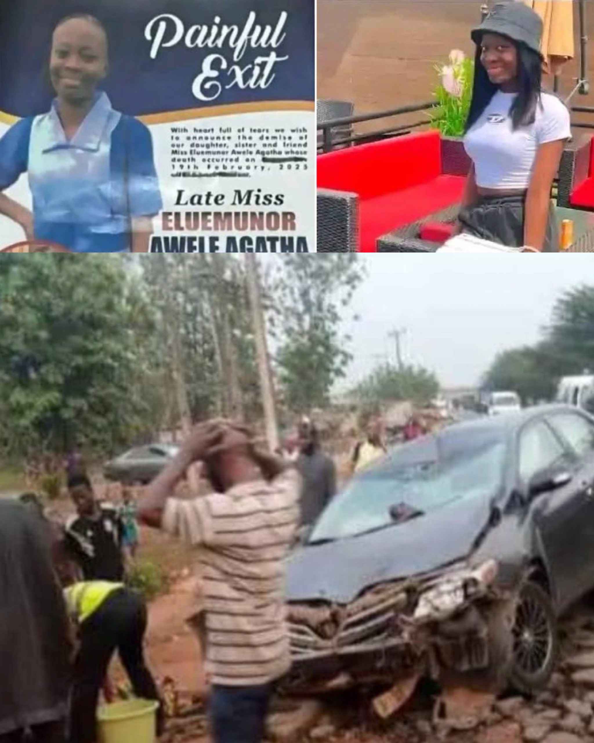 created by photogrid