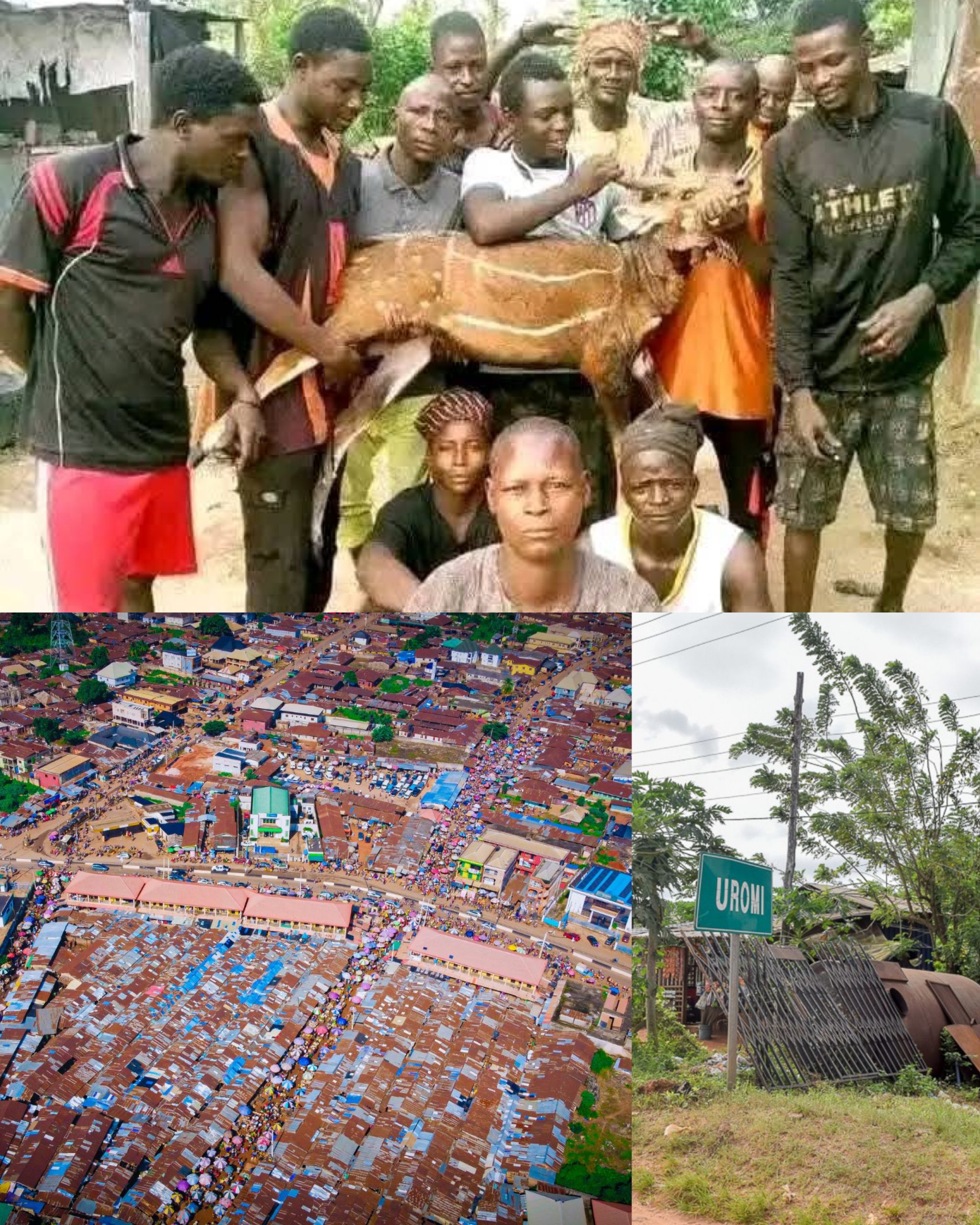 created by photogrid