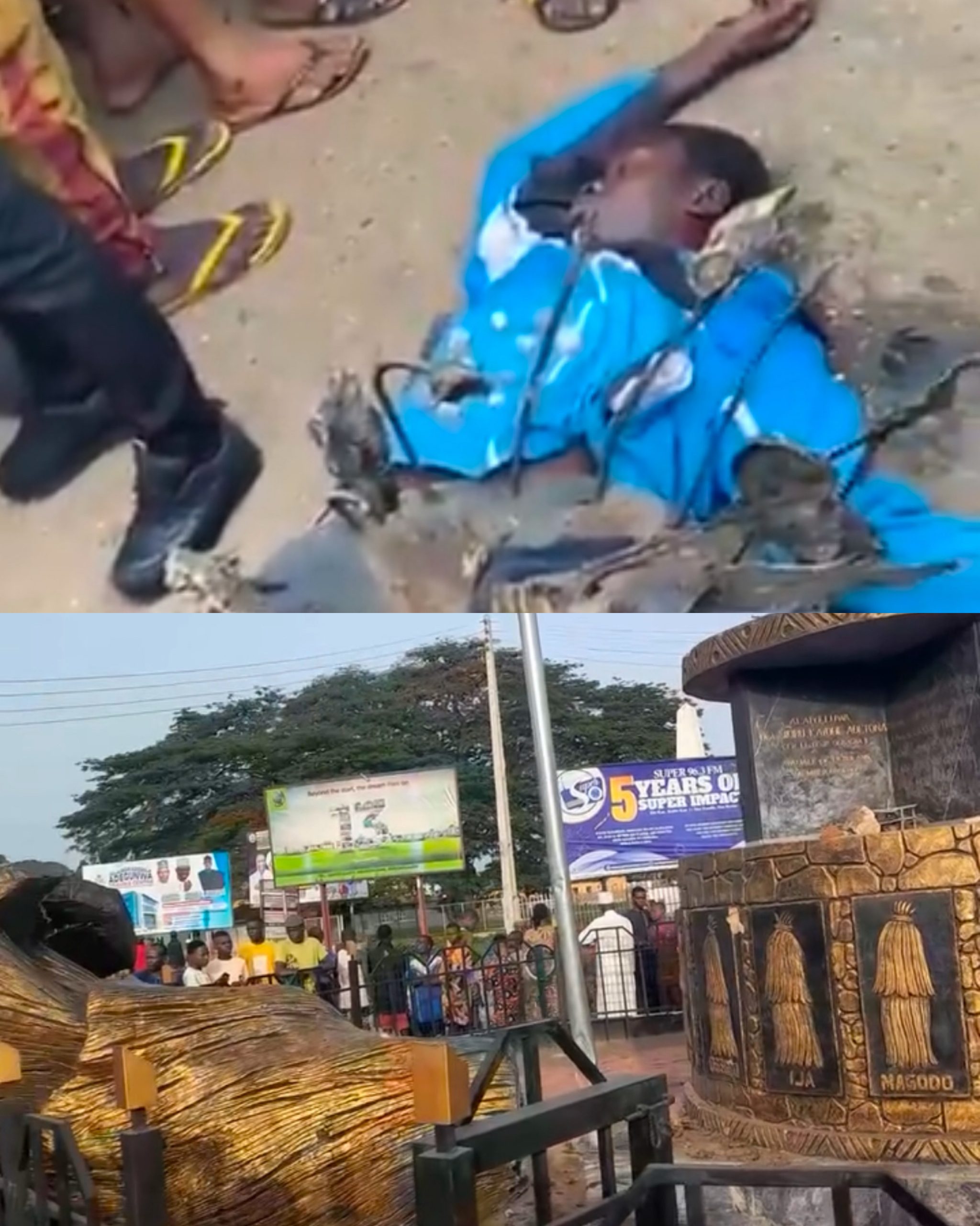 created by photogrid