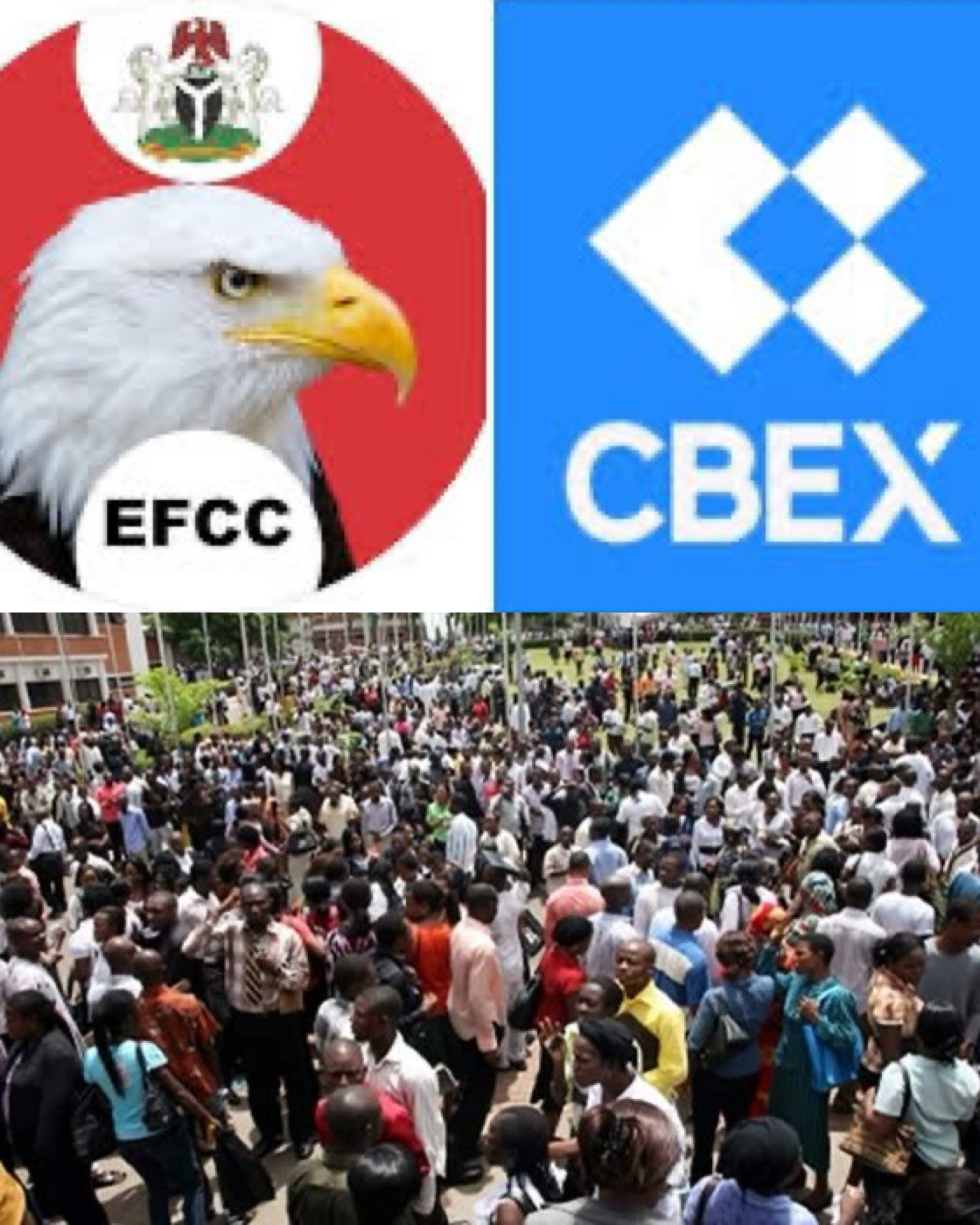 created by photogrid