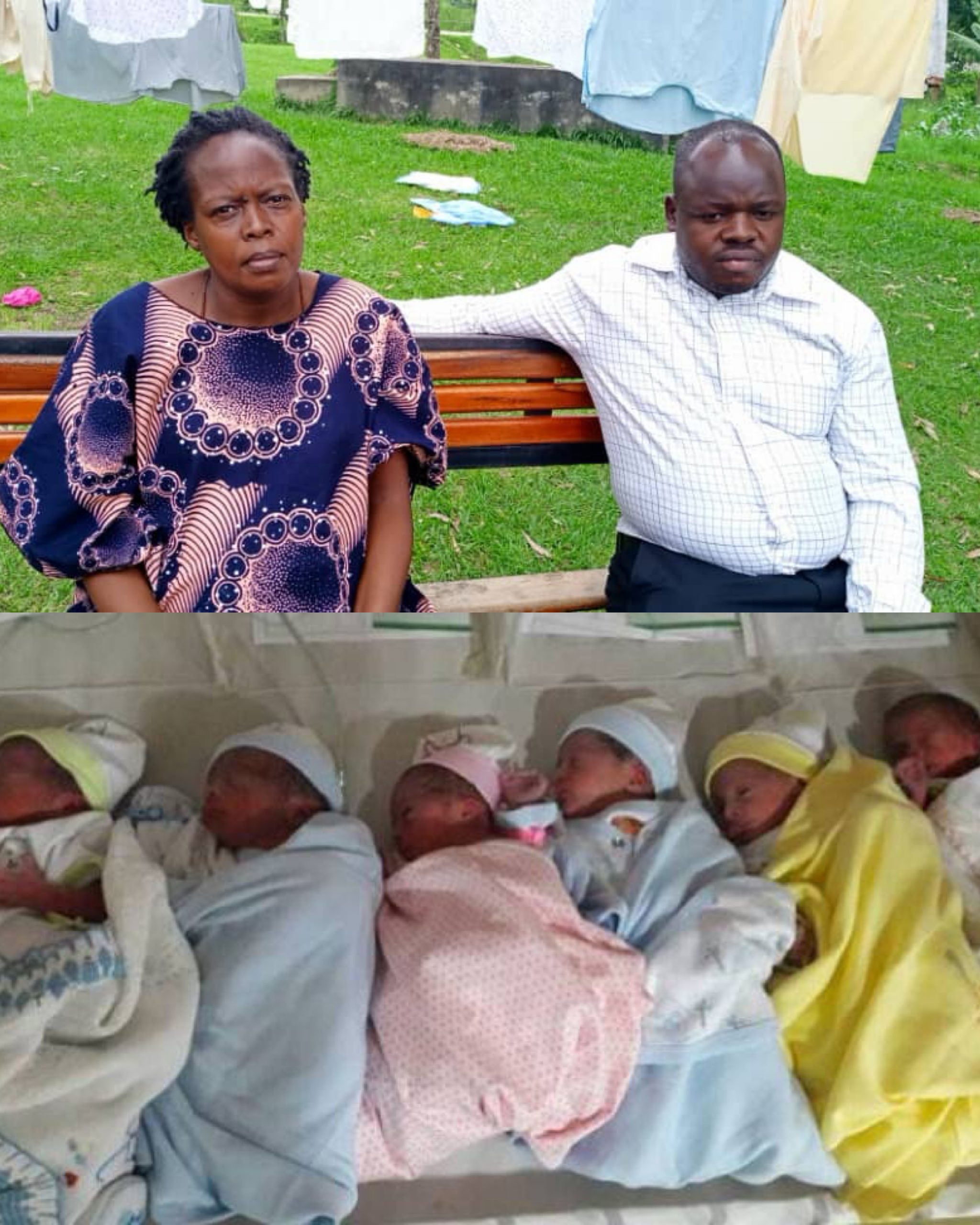 created by photogrid