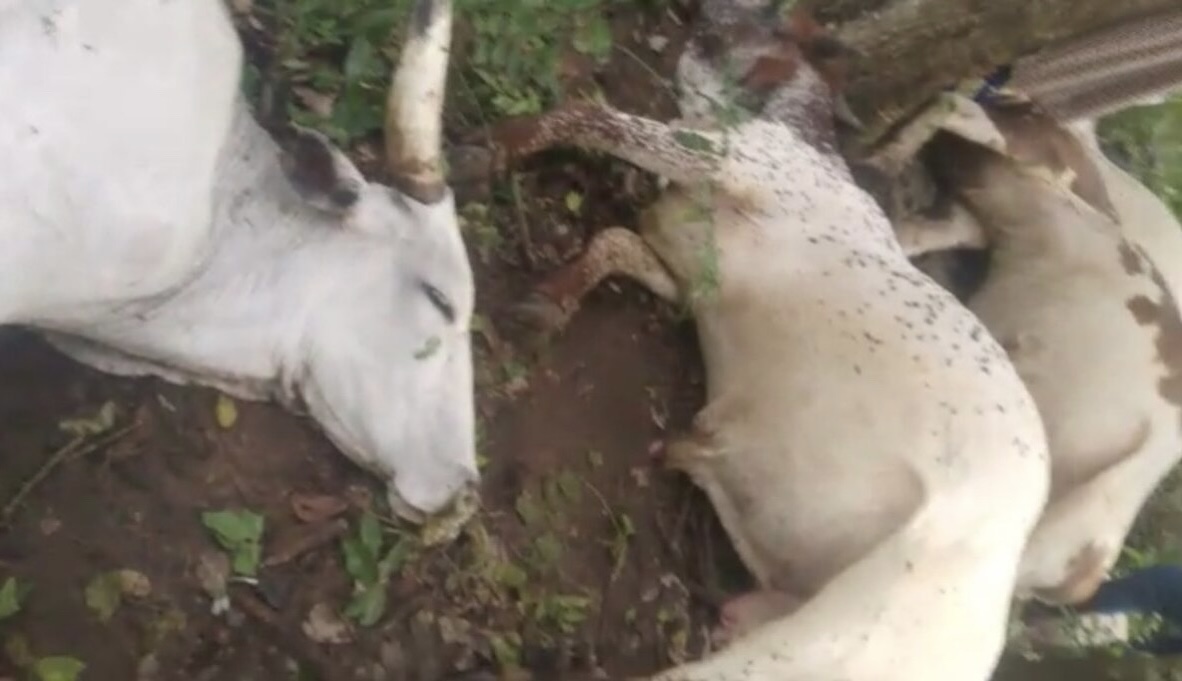 02DBBAD9-9AAB-4903-B039-D5A7306F7070