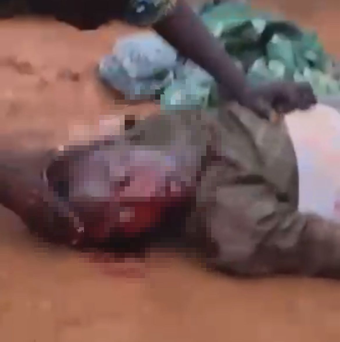 876440fc-51f7-4724-a280-3d5df4116247