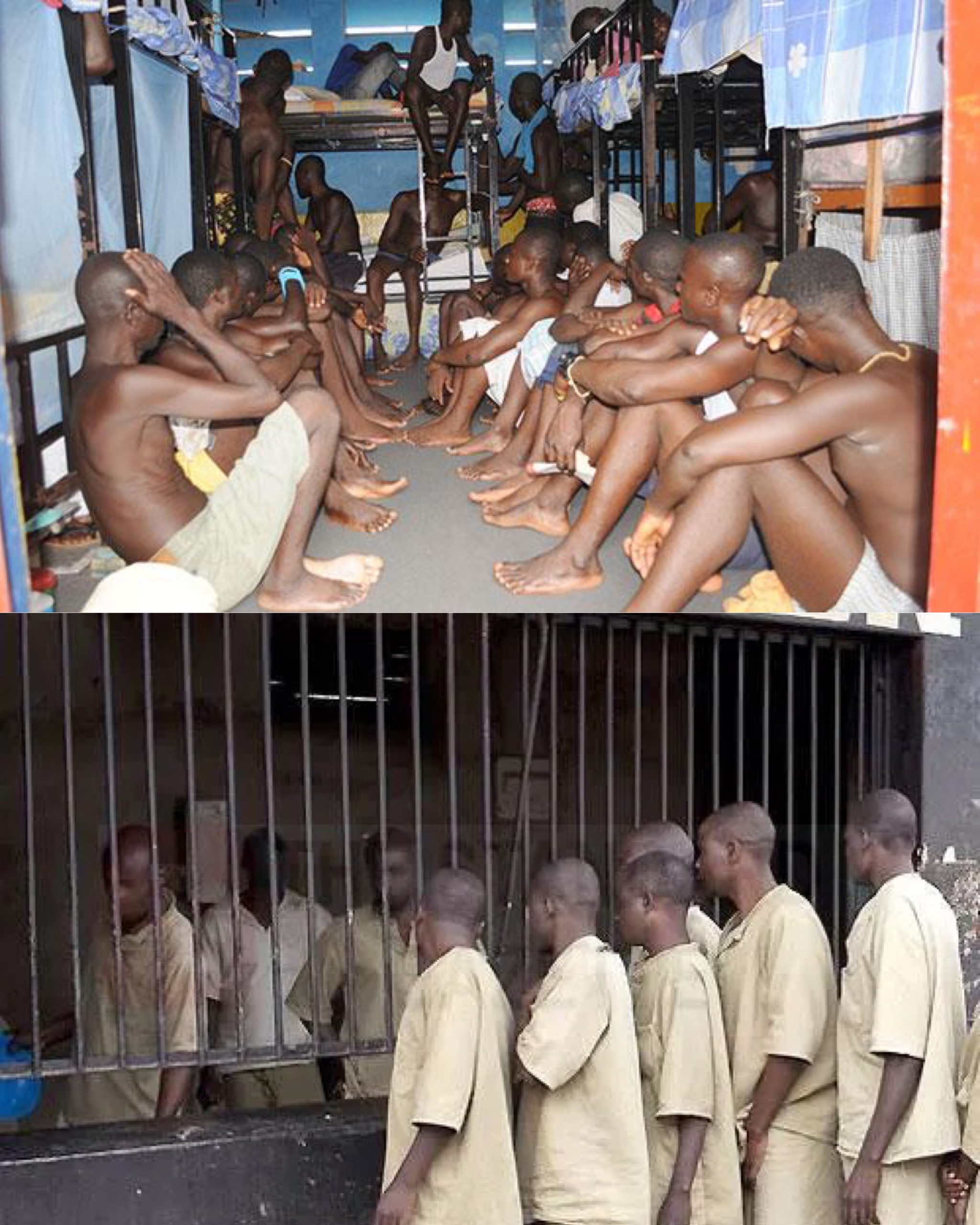 created by photogrid