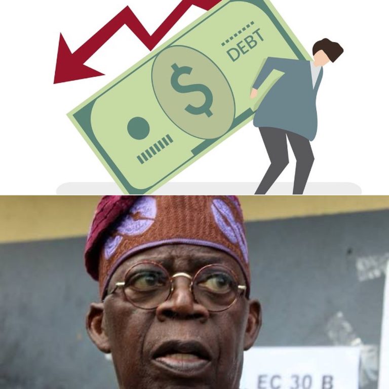 created by photogrid