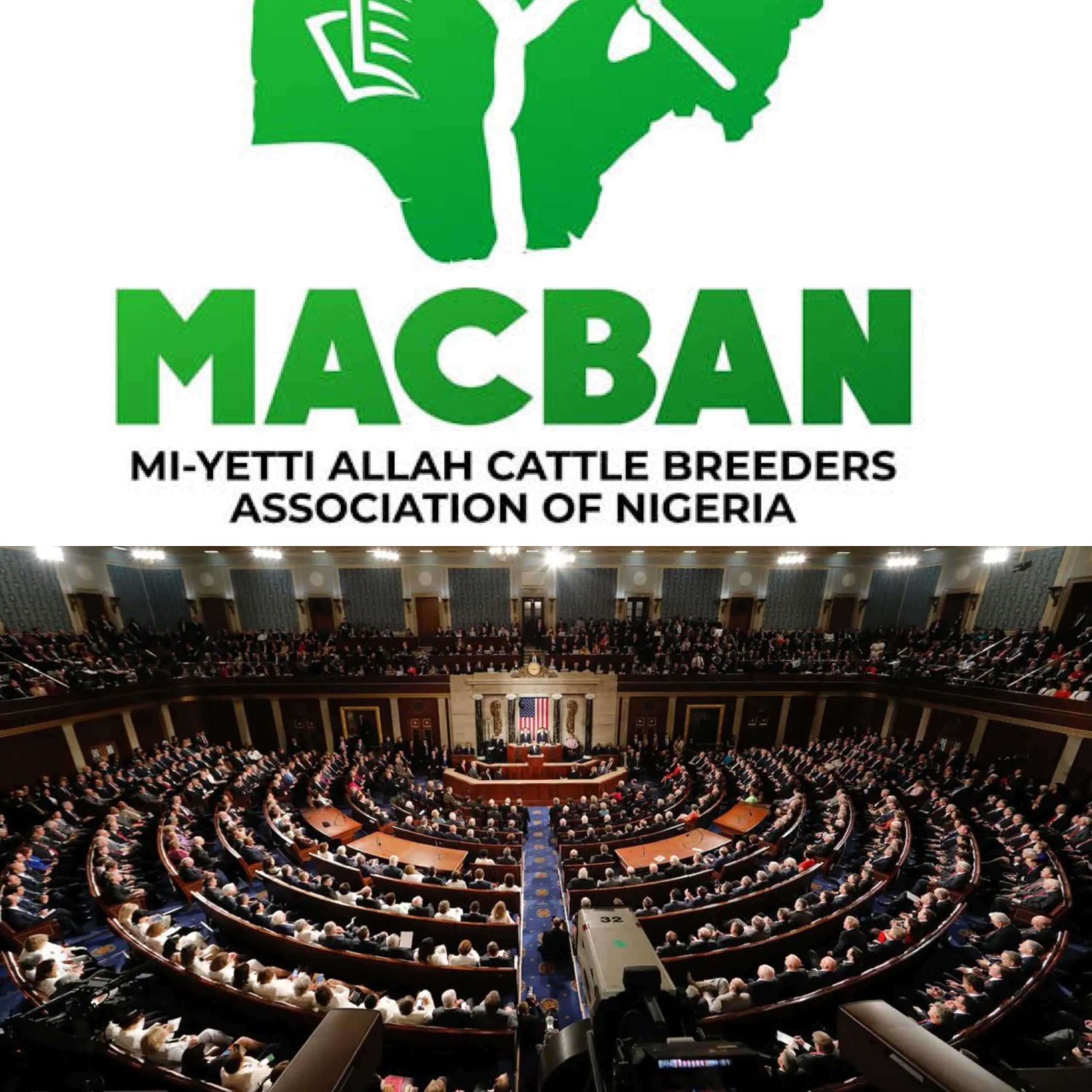 created by photogrid