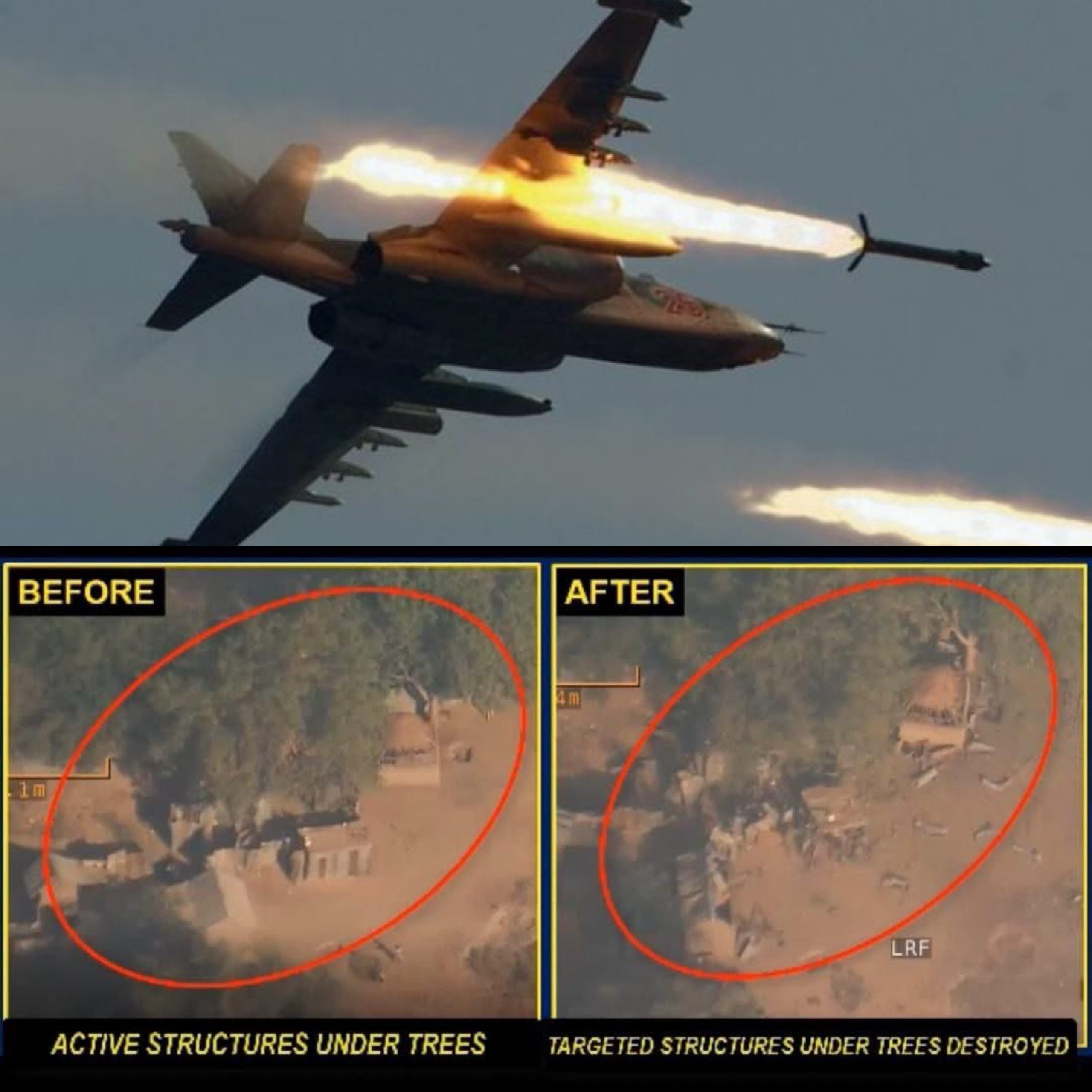 created by photogrid