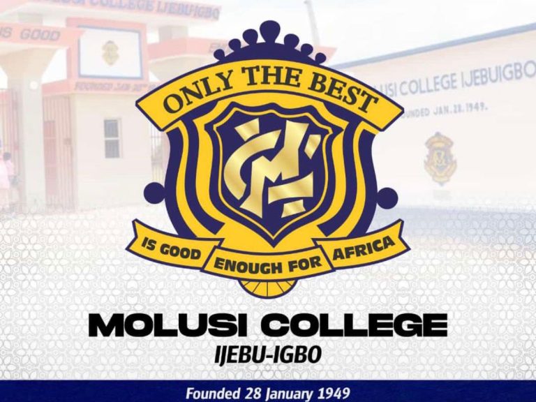 8e08b151-61a4-46d1-8137-4121268ad3ca