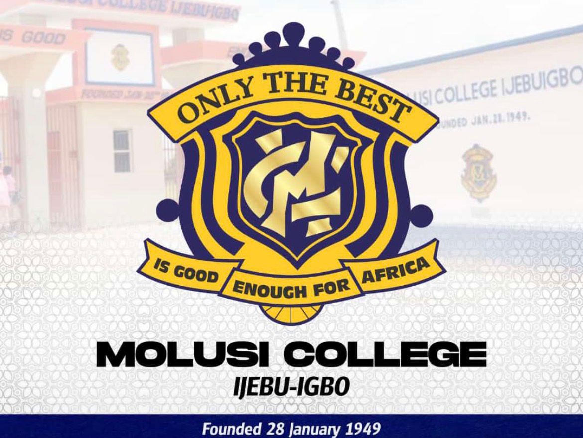 8e08b151-61a4-46d1-8137-4121268ad3ca